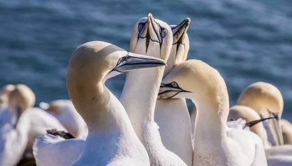 从坚持喝自己的茶开始，不从众的勇气