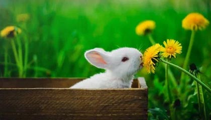 长沙自来水测评，解锁泡茶的最佳水源